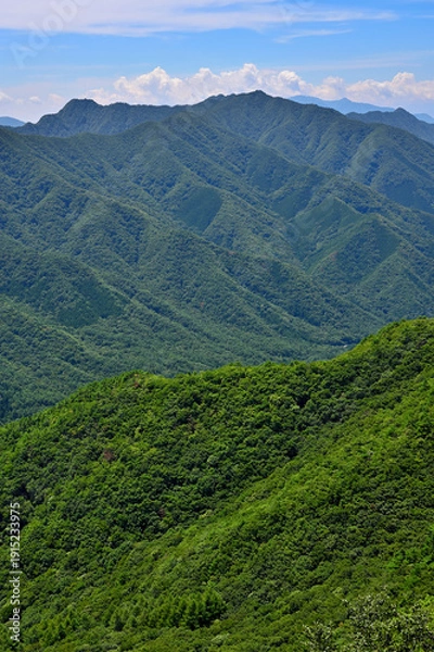 Obraz 夏の御坂山地　釈迦ヶ岳山頂からの展望
