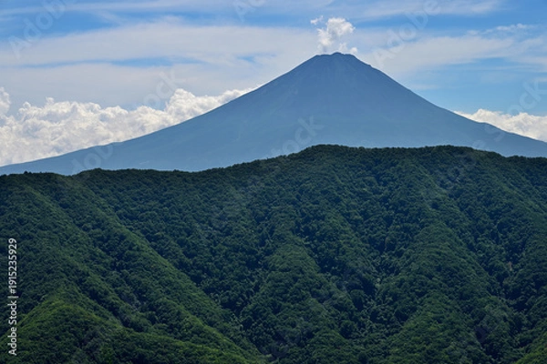 Obraz 夏の富士山　御坂山地の釈迦ヶ岳山頂より望む

