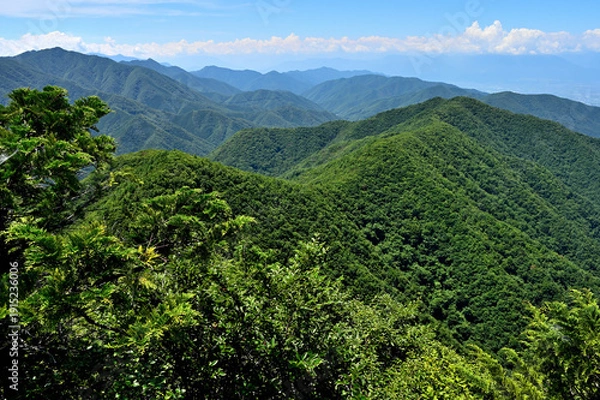 Obraz 夏の御坂山地　釈迦ヶ岳山頂からの展望
