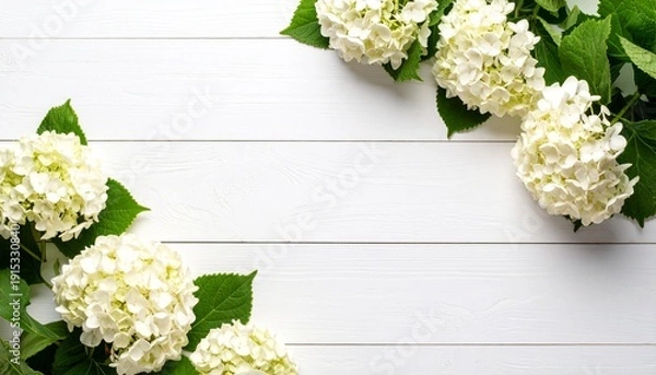 Obraz 白い板壁とアジサイ