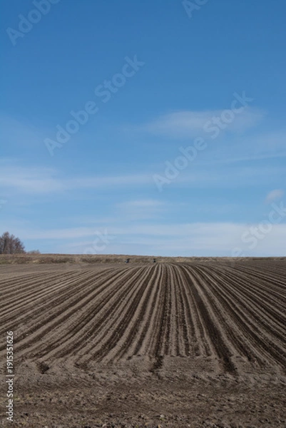 Obraz 植え付けが間近な春の畑
