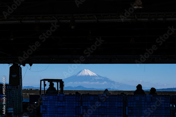 Obraz 静岡県焼津市の小川漁港のシルエットと建物の間から望む冬の富士山
