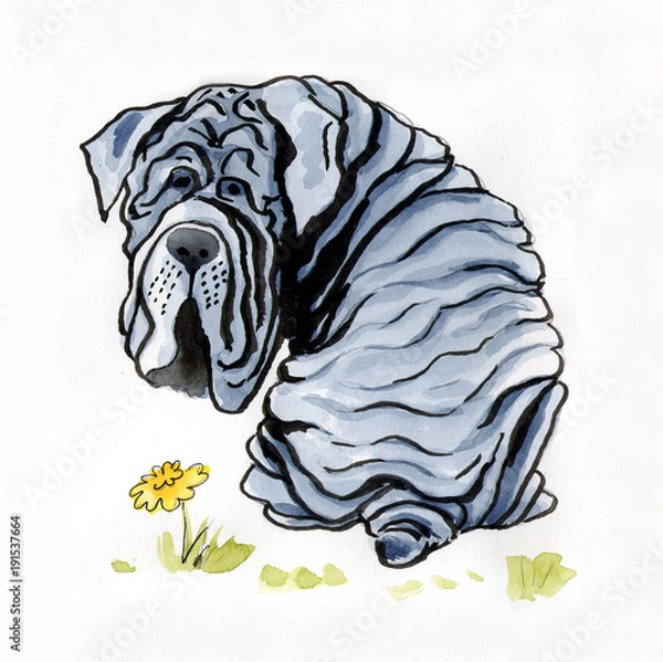 Fototapeta Рисунок собаки акварелью "Неаполитанский мастиф