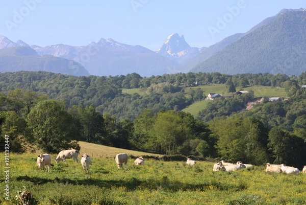 Obraz vallée d'ossau