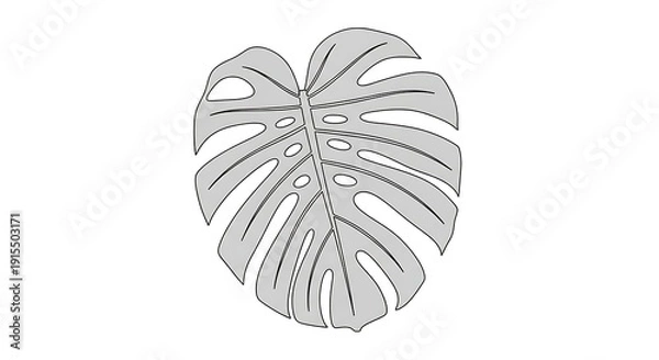Fototapeta Monstera leaf illustration