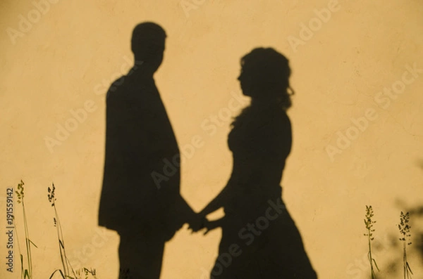 Obraz Wedding shadows