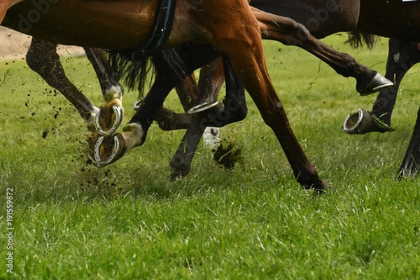 Obraz Horse racing action