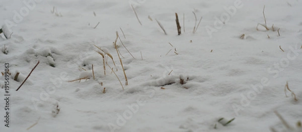 Obraz The yard is covered with thick snow