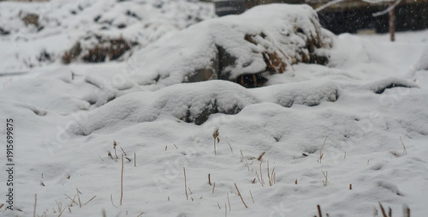 Obraz The yard is covered with thick snow
