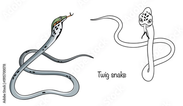 Obraz Twig snake
