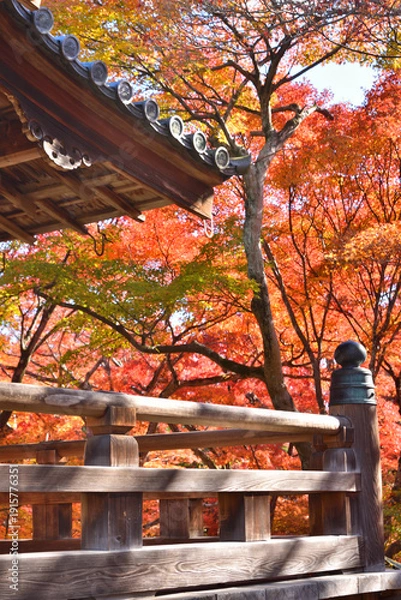 Obraz 宝筐院の紅葉