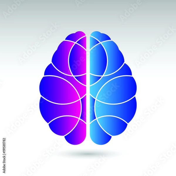 Fototapeta A simple vector illustration of a human brain from a top down view. This brain icon is divided into the left and right sections using two different colors.