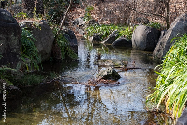 Obraz 長居植物園