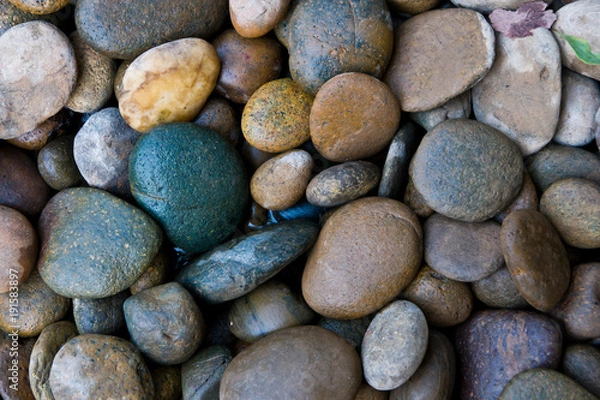 Obraz Abstract background with dry round pebble 