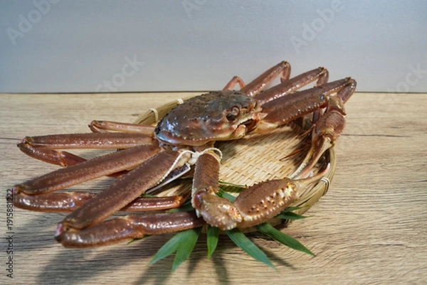 Obraz 新鮮な兵庫県浜坂産タグ付き松葉ガニ