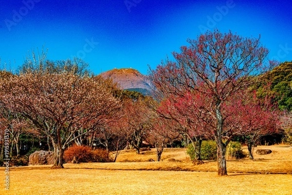 Obraz 南立石公園