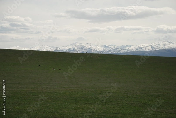 Obraz Карачаево-Черкесия