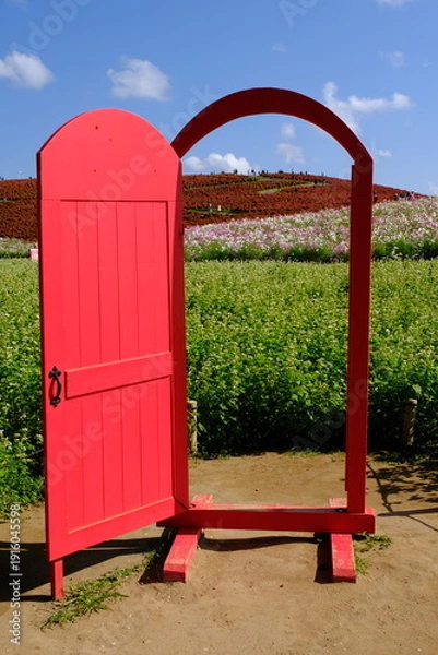 Obraz ひたち海浜公園みはらしの里　そばの花とドア　
