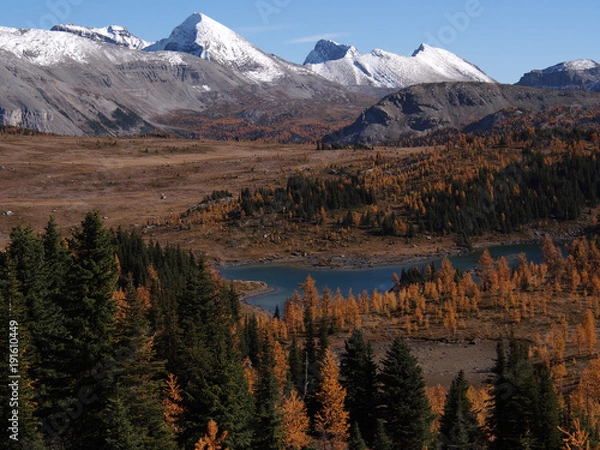 Obraz サンシャインメドウズ