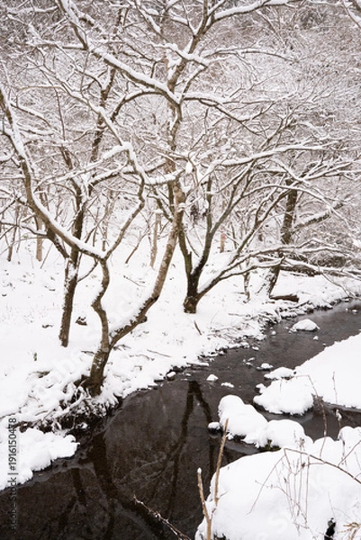 Obraz 雪に覆われた川