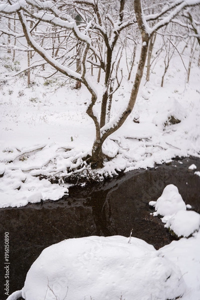 Obraz 雪に覆われた川
