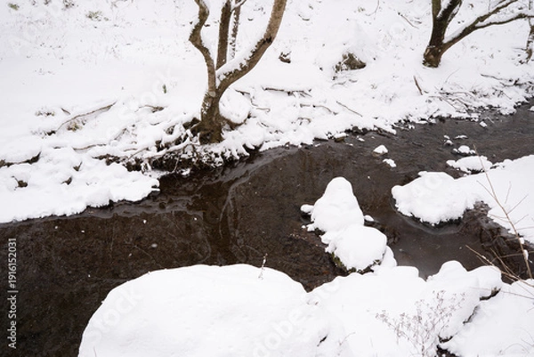 Obraz 雪に覆われた川
