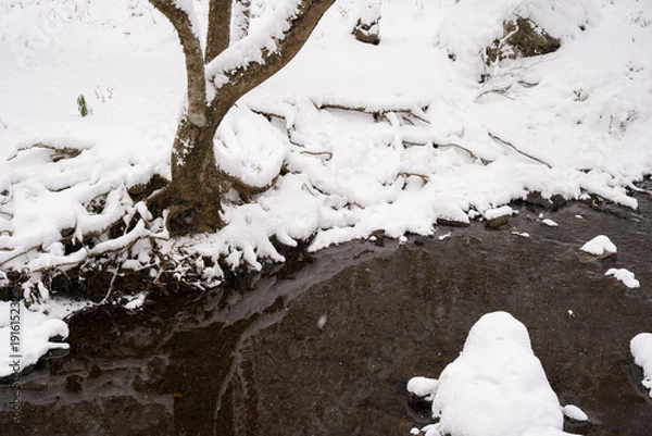 Obraz 雪の覆われた川