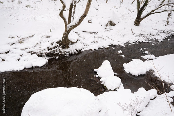 Obraz 雪に覆われた川