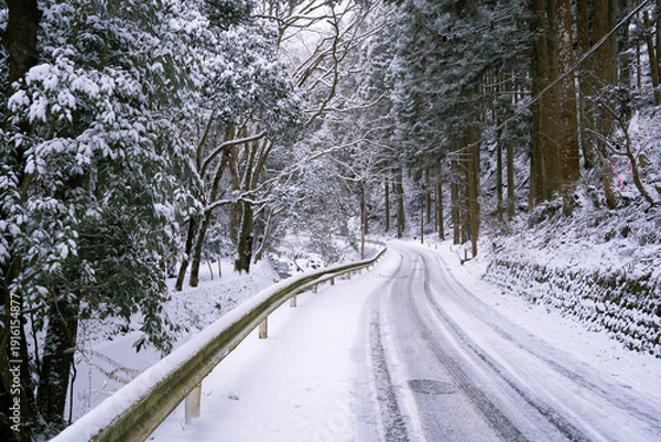 Obraz 雪降り積もる道