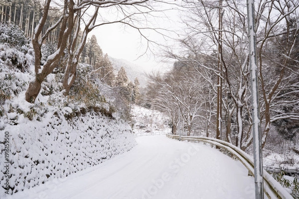 Obraz 雪の降り積もった道