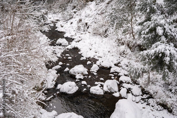 Obraz 雪に覆われた美しい川