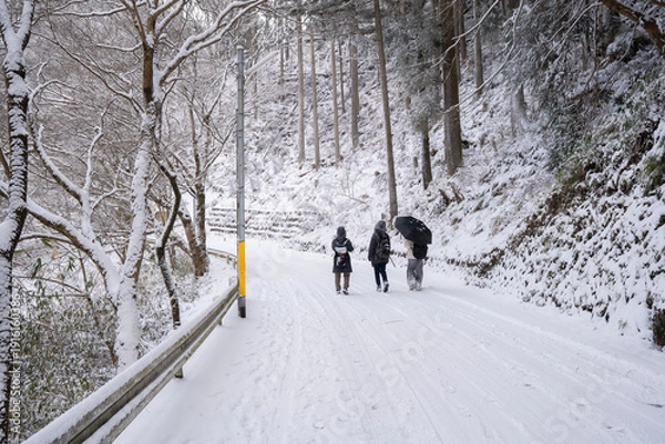 Obraz 雪降り積もる道