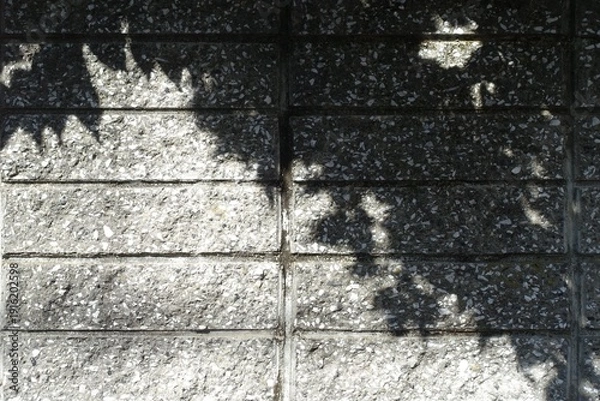 Obraz ブロック塀に映る木の葉の影、シルエット