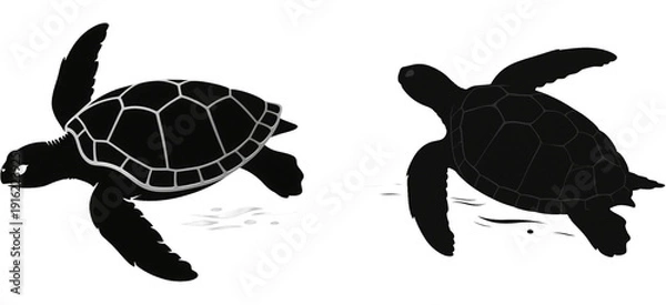 Obraz ウミガメ　カメ　動物　生き物　イラスト