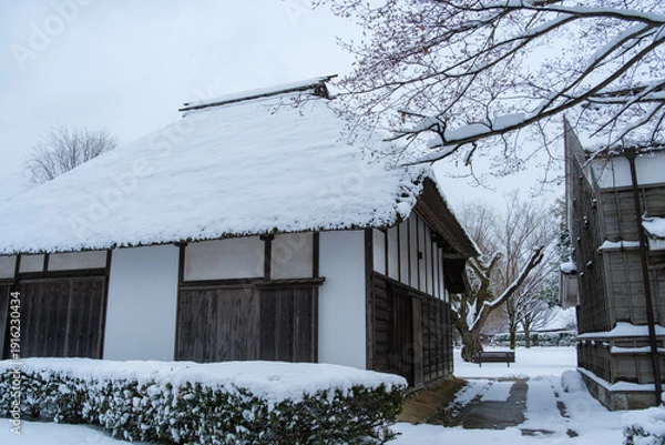 Fototapeta 茅葺屋根の雪景色