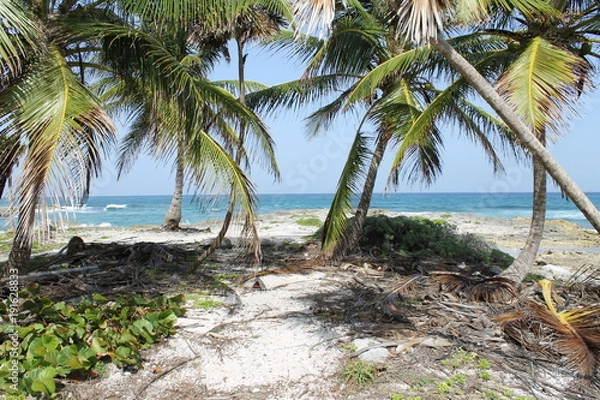 Obraz Wild beach in Mexico