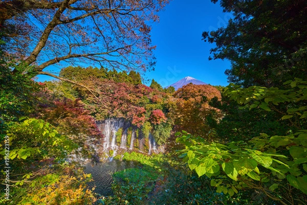 Obraz 静岡県富士宮市の紅葉の白糸の滝と富士山を超広角で見る