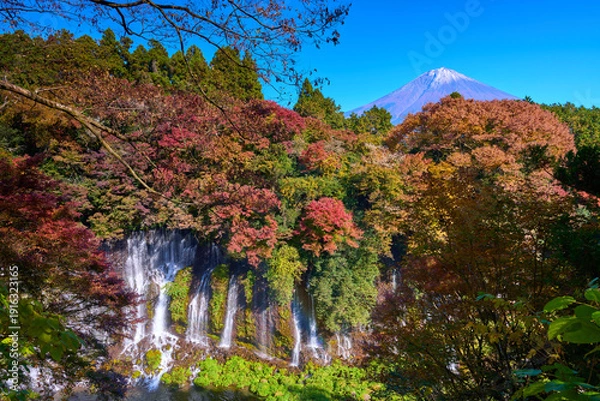 Obraz 静岡県富士宮市の紅葉の白糸の滝と富士山