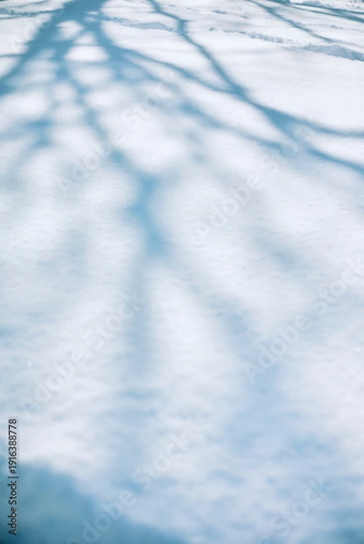 Obraz 【福島県福島市】雪景色に映る木の影