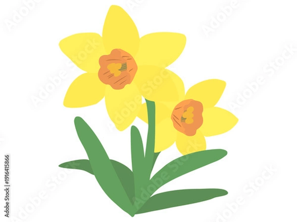 Obraz スイセン 黄色 オレンジラッパ 主線なし