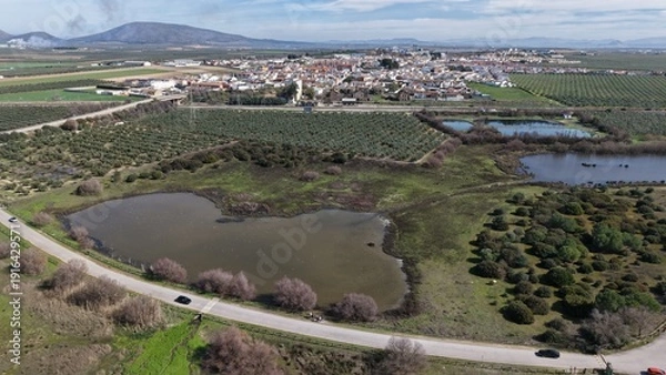 Obraz Fuente de Piedra