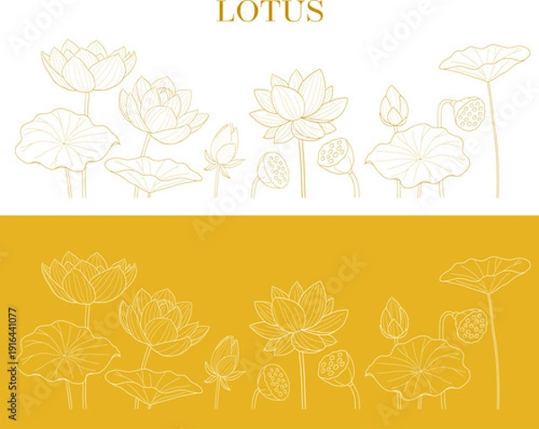 Obraz ハスの花の線画ベクターイラスト