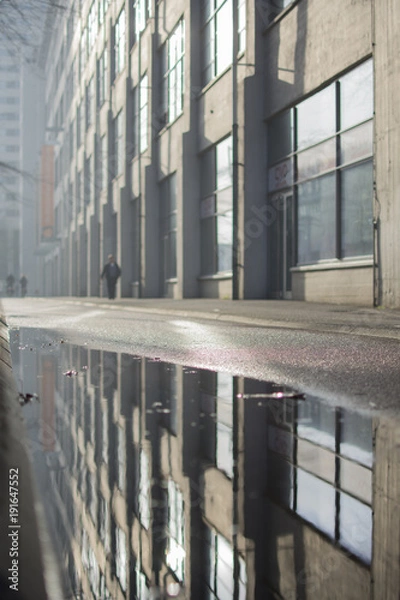 Obraz reflecting urban nature