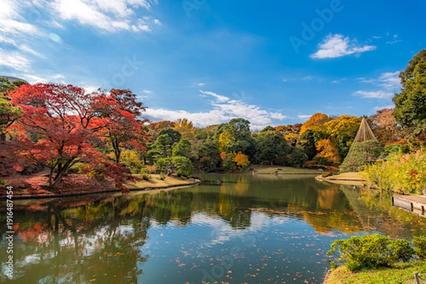 Obraz 東京都文京区 秋晴れの六義園