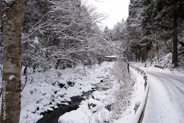 Obraz 雪の日の幻想的な川