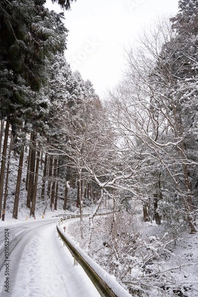 Obraz 雪の降り積もる幻想的な森
