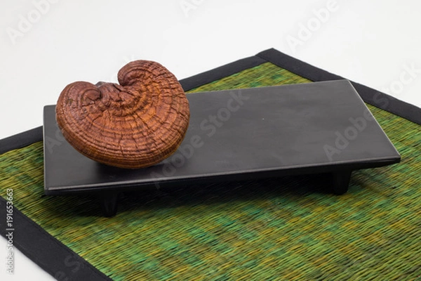 Obraz Lingzhi Mushroom