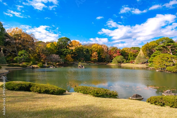 Obraz 東京都文京区 秋晴れの六義園
