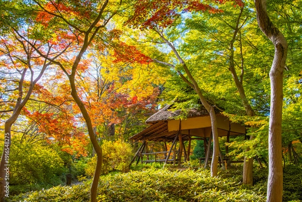 Obraz 東京都文京区 秋の六義園、つつじ茶屋