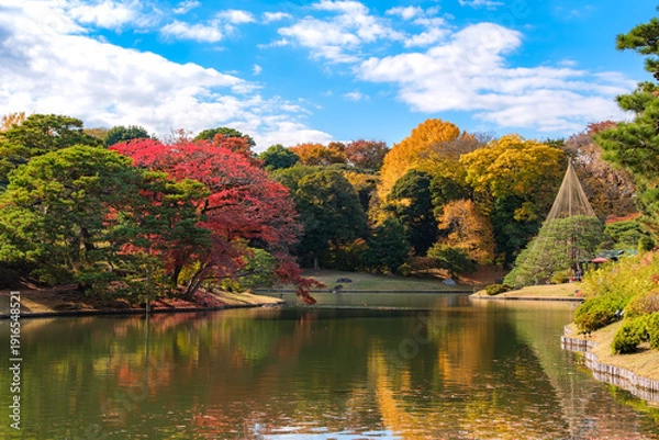 Obraz 東京都文京区 秋晴れの六義園